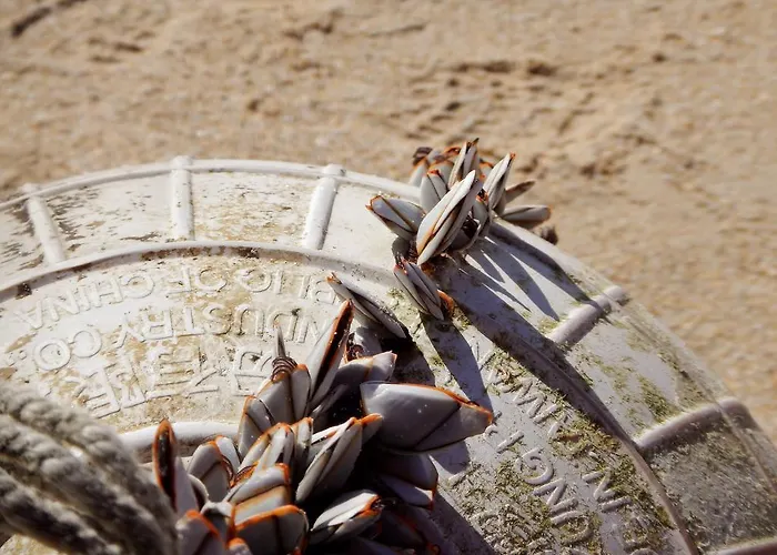 Bica, Luxury Heated Penthouse With Jacuzzi And Large Terrace In Апартаменты